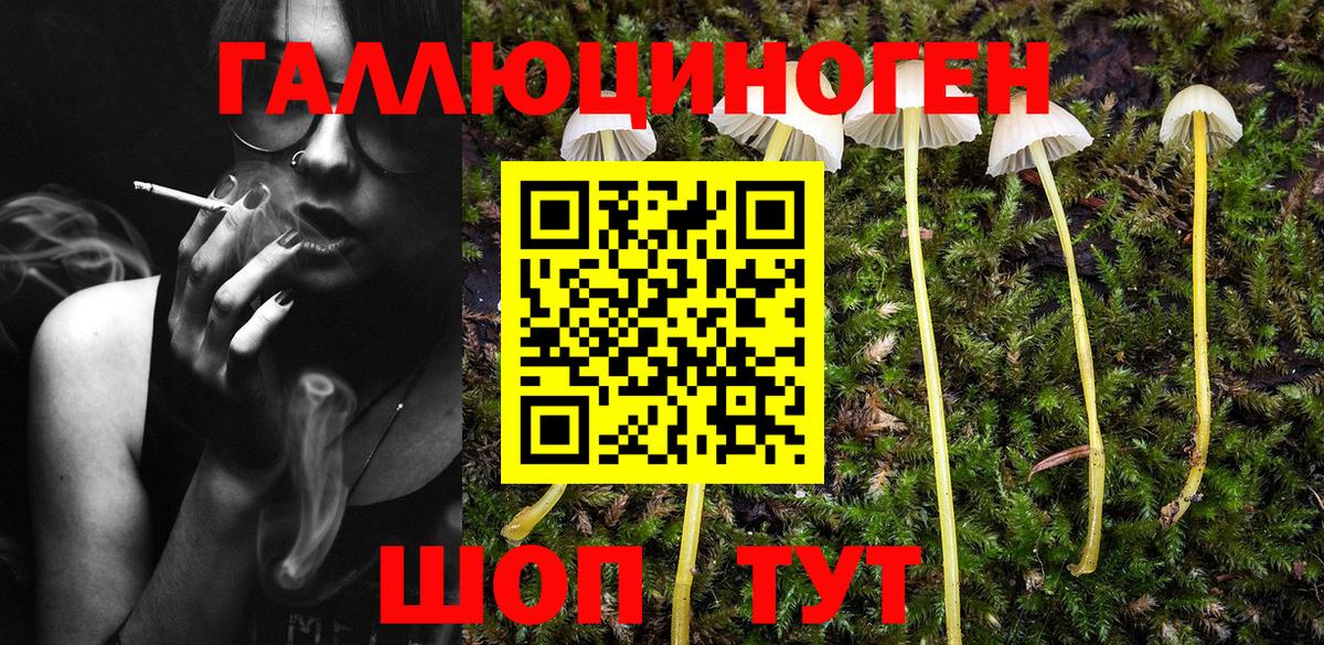 Псилоцибиновые грибы прущие грибы  закладка  Волжск  Вход с VPN 